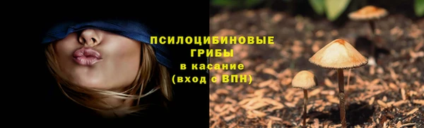 2c-b Алексин