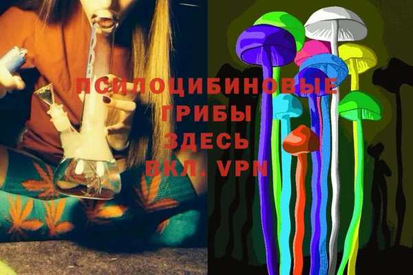 ГАЛЛЮЦИНОГЕННЫЕ ГРИБЫ Алзамай